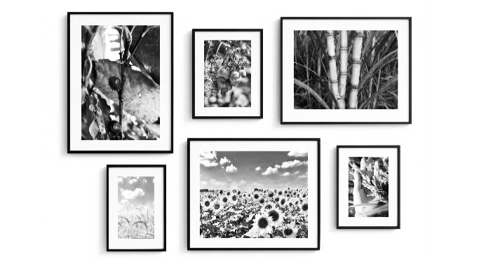 Seedi natural product inspiration